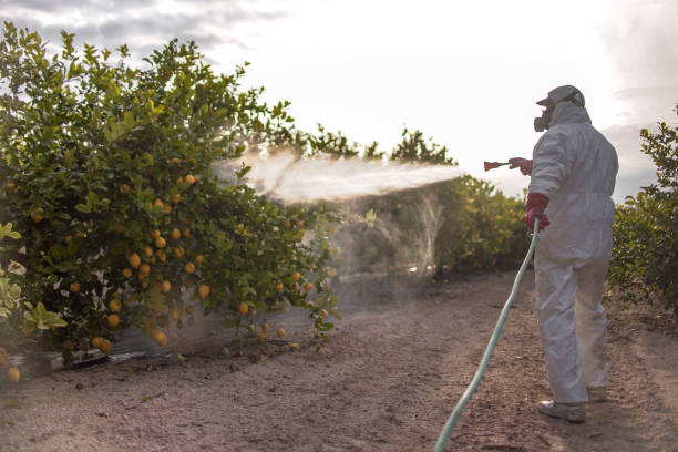 Reliable Lake Panasoffkee, FL Pest Control Solutions